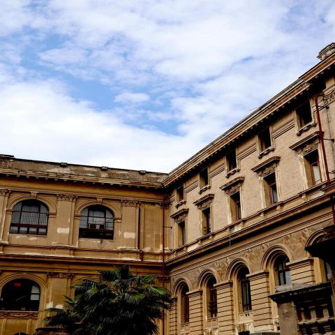 About The University of Winpega